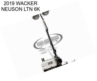 2019 WACKER NEUSON LTN 6K