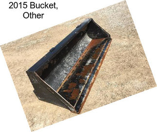 2015 Bucket, Other