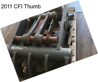 2011 CFI Thumb