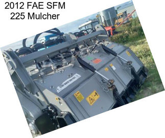 2012 FAE SFM 225 Mulcher