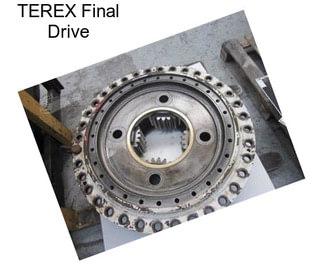 TEREX Final Drive