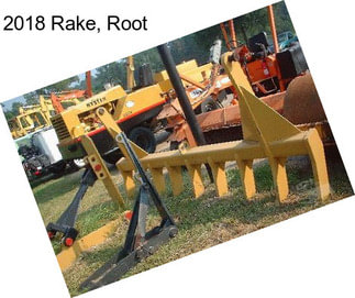 2018 Rake, Root
