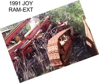 1991 JOY RAM-EXT