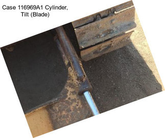Case 116969A1 Cylinder, Tilt (Blade)