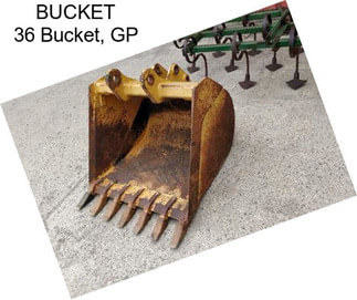 BUCKET 36 Bucket, GP