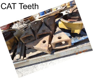 CAT Teeth
