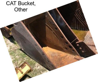 CAT Bucket, Other