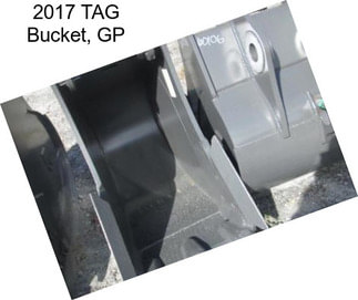 2017 TAG Bucket, GP