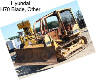 Hyundai H70 Blade, Other