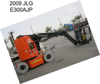 2009 JLG E300AJP