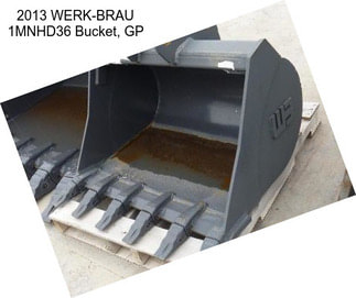 2013 WERK-BRAU 1MNHD36 Bucket, GP