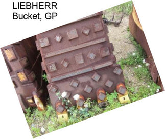 LIEBHERR Bucket, GP