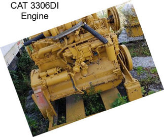 CAT 3306DI Engine