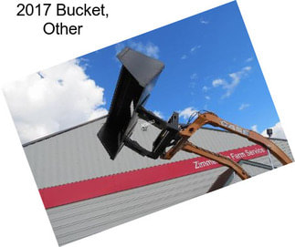 2017 Bucket, Other