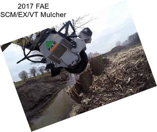 2017 FAE SCM/EX/VT Mulcher