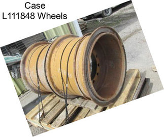 Case L111848 Wheels
