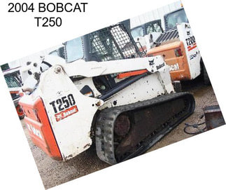 2004 BOBCAT T250