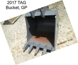 2017 TAG Bucket, GP