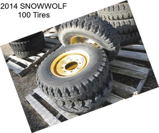 2014 SNOWWOLF 100 Tires