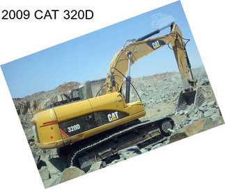 2009 CAT 320D