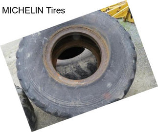 MICHELIN Tires