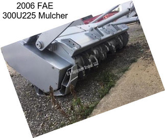 2006 FAE 300U225 Mulcher