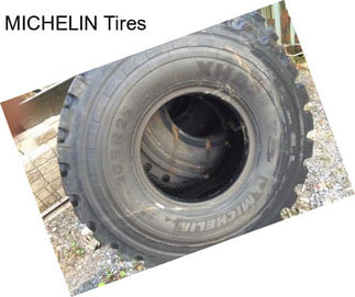 MICHELIN Tires