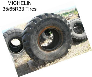 MICHELIN 35/65R33 Tires