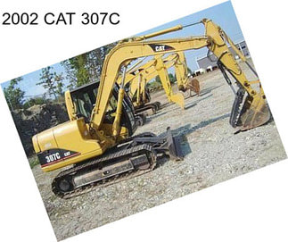 2002 CAT 307C