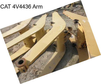 CAT 4V4436 Arm