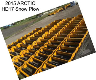 2015 ARCTIC HD17 Snow Plow