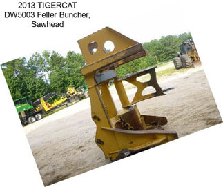 2013 TIGERCAT DW5003 Feller Buncher, Sawhead
