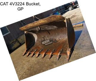 CAT 4V3224 Bucket, GP