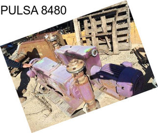 PULSA 8480