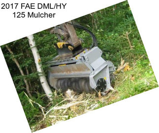 2017 FAE DML/HY 125 Mulcher