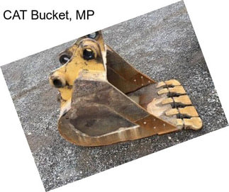 CAT Bucket, MP