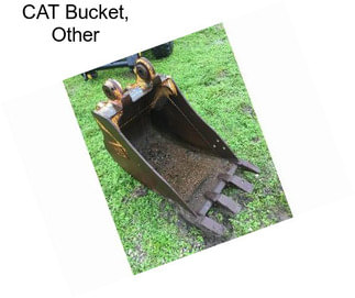 CAT Bucket, Other