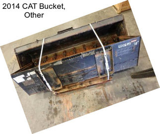 2014 CAT Bucket, Other