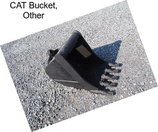 CAT Bucket, Other