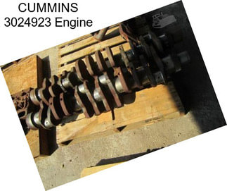 CUMMINS 3024923 Engine