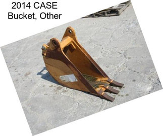 2014 CASE Bucket, Other