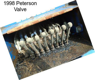 1998 Peterson Valve