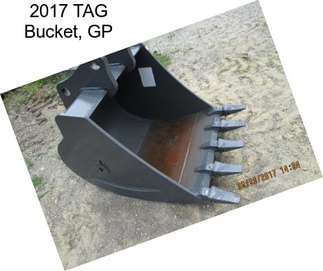 2017 TAG Bucket, GP