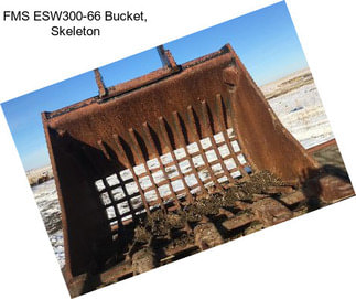 FMS ESW300-66 Bucket, Skeleton