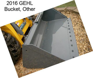 2016 GEHL Bucket, Other