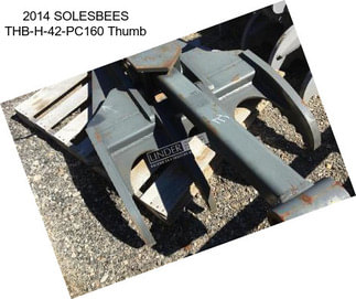 2014 SOLESBEES THB-H-42-PC160 Thumb