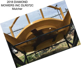 2018 DIAMOND MOWERS INC DLR072C Mulcher