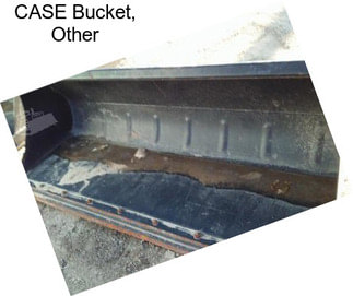 CASE Bucket, Other