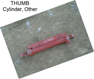 THUMB Cylinder, Other