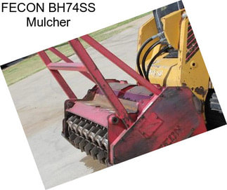 FECON BH74SS Mulcher